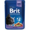 Brit Premium Cat kapsa with Cod Fish 100g