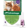 Advantage 80 10% 4x0,8ml pro kočky nad 4kg