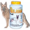 Gelacan Plus Profi 1000g