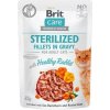 Brit Care Cat Fillets Gravy Steril Healthy Rabbit 85g