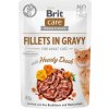 Brit Care Cat Fillets in Gravy Hearty Duck 85g