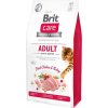 Brit Care Cat GF Adult Activity Support 7kg