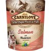 Carnilove Dog Pouch Paté Salmon & Blueber Puppies 300g