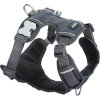 Postroj RD polstrovaný S - 37-52 cm