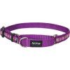  (Varianta Daisy Chain Purple)