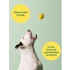 Earth Rated Fetch Toy Aportovací míček – L