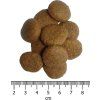 OPTIMAnova dog ADULT LARGE 12kg