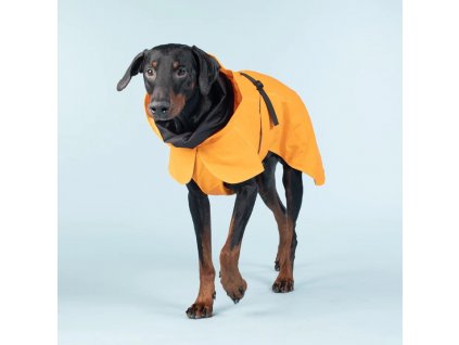 1043001 PAIKKA Recovery Raincoat Orange dog2 4 720x