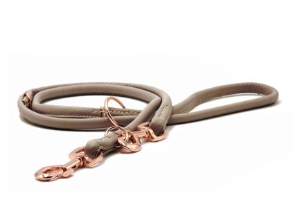 2018 Hundeleine Blaxxs taupe 1