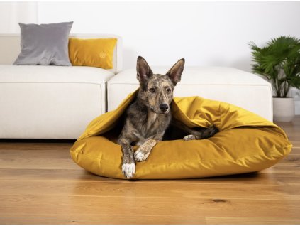 Snímek obrazovky 2025 11 18 v 16.42.11