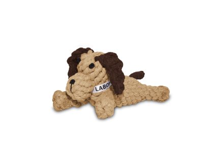 dog junior6