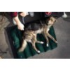 sustainable travel dog bed1210 scaled