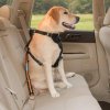 Dog Tether Seatbelt 58363 1306202211313239326