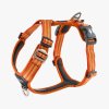 comfort walk air harness (9)