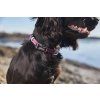 tumble collar feature 4