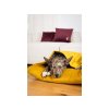 6916 1 dog bed pillow cushion lifestyle lebeddie 8768 min scaled 1