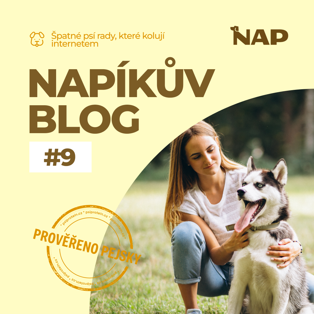 Špatné psí rady, které kolují internetem (a proč vašeho psa můžou pokazit)