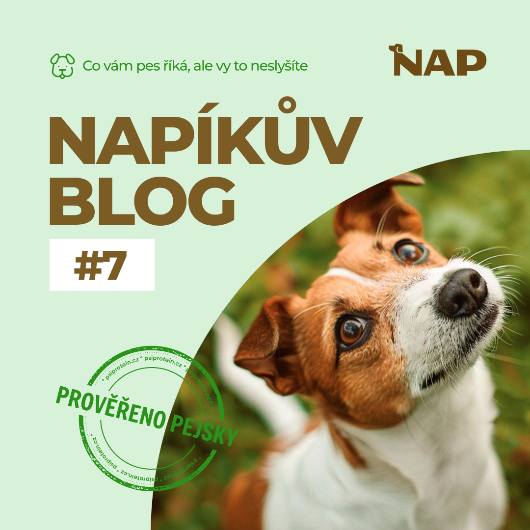 Co vám pes říká, ale vy to neslyšíte: řeč těla ve 12 příkladech