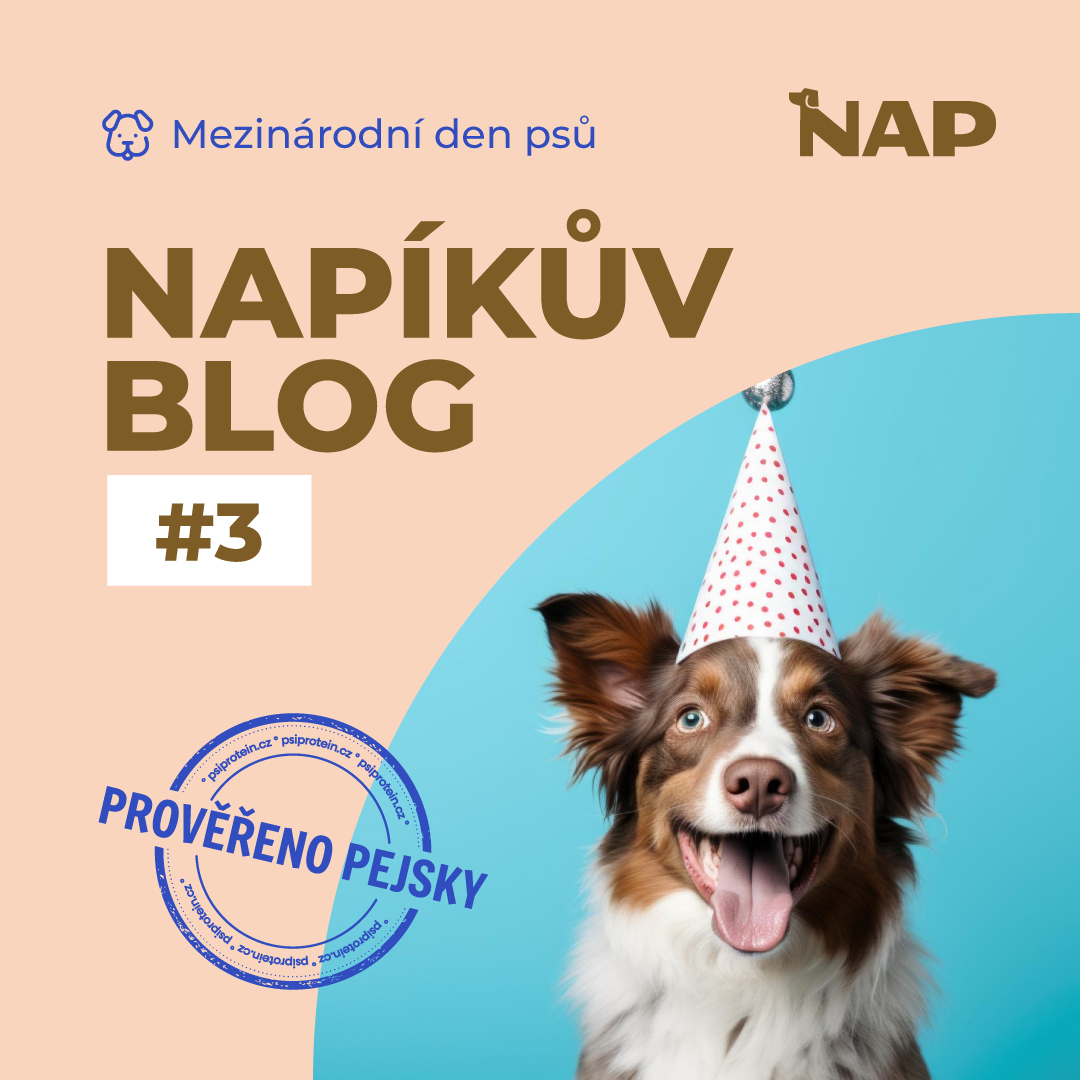Mezinárodní den psů: Den, kdy se slaví ti, co nám mění život k lepšímu