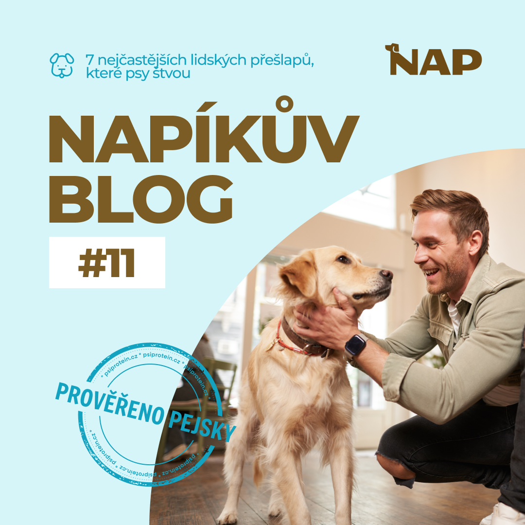 7 nejčastějších lidských přešlapů, které psy štvou (a většina lidí je dělá denně)