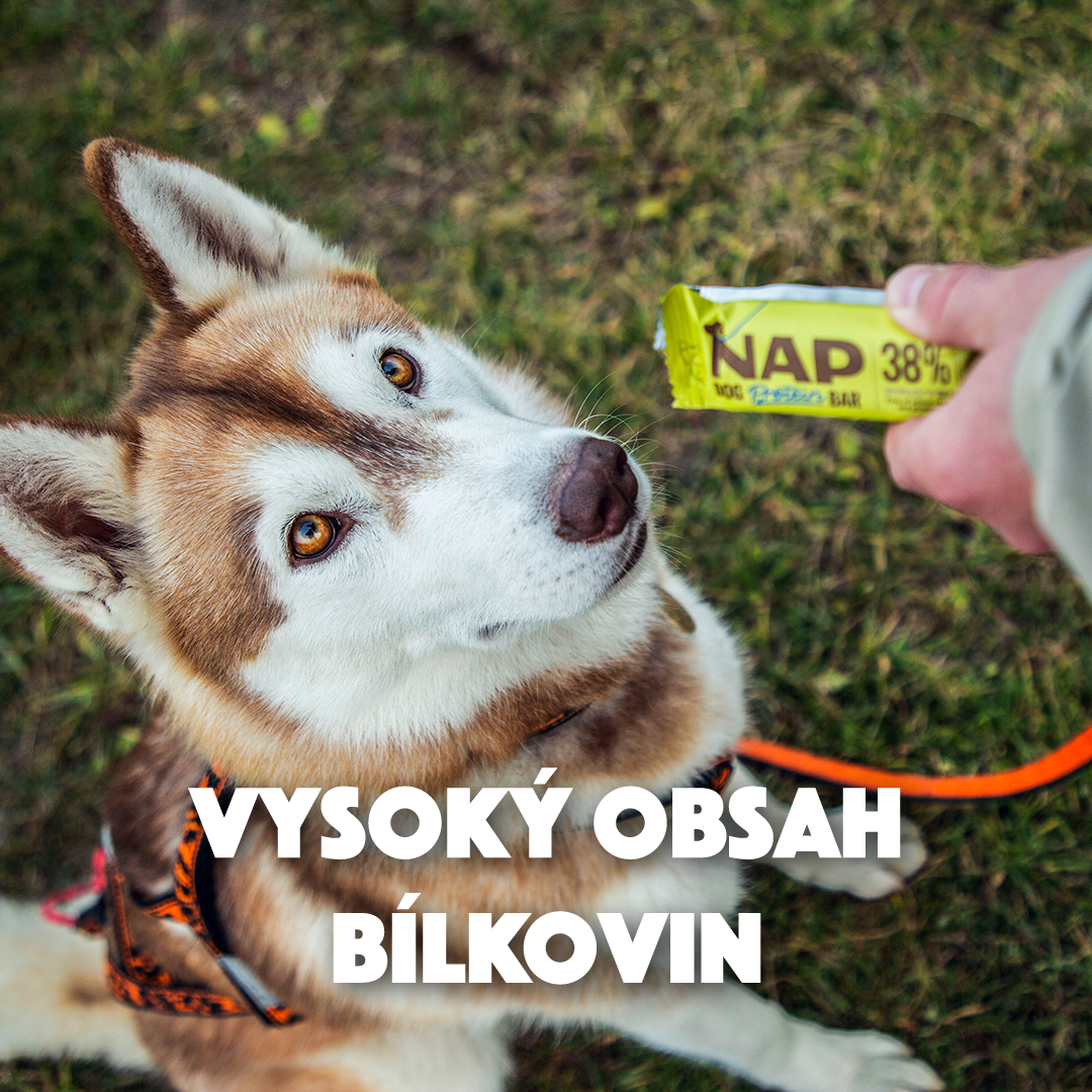 VYSOKÝ OBSAH BÍLKOVIN