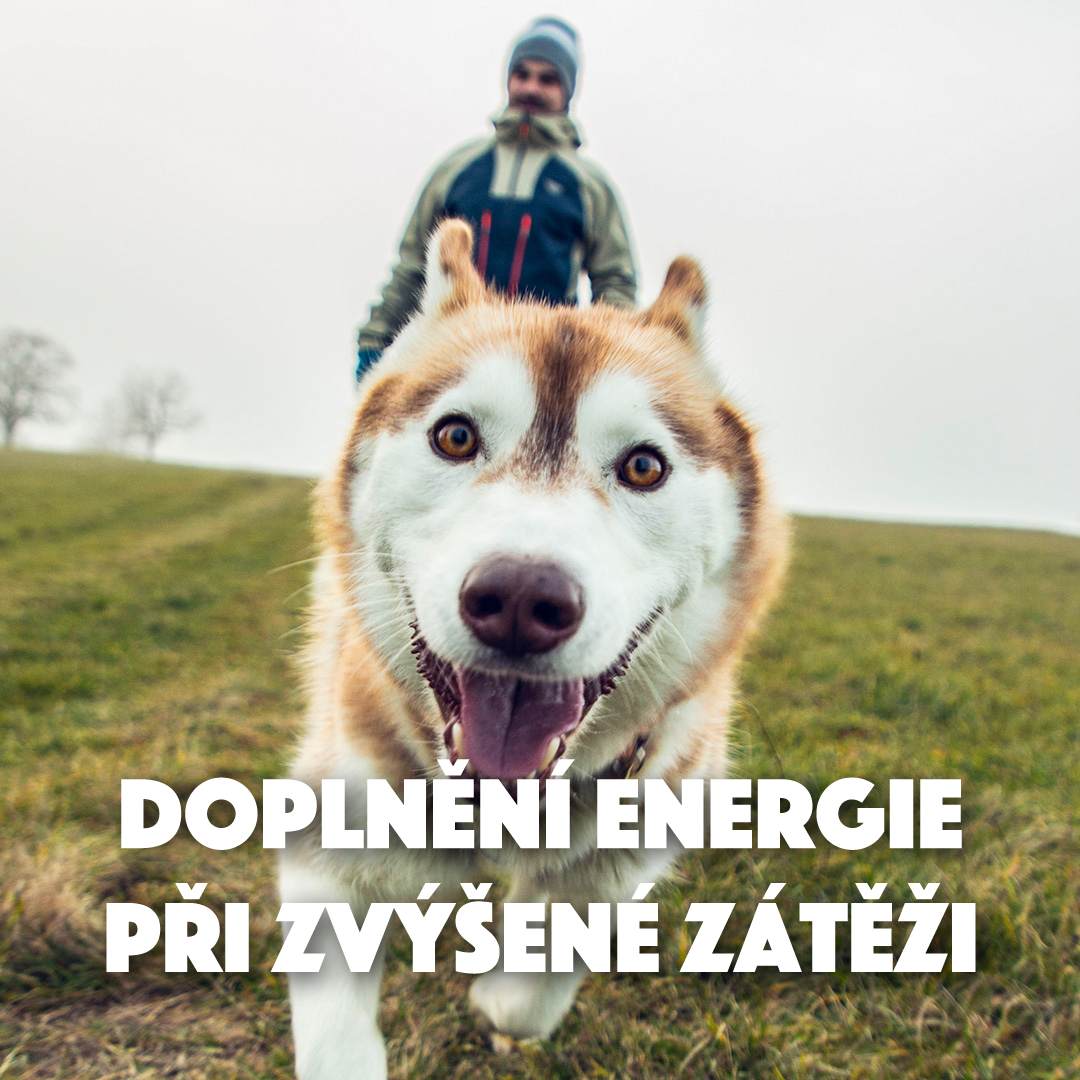 DOPLNĚNÍ ENERGIE PŘI ZVÝŠENÉ ZÁTĚŽI