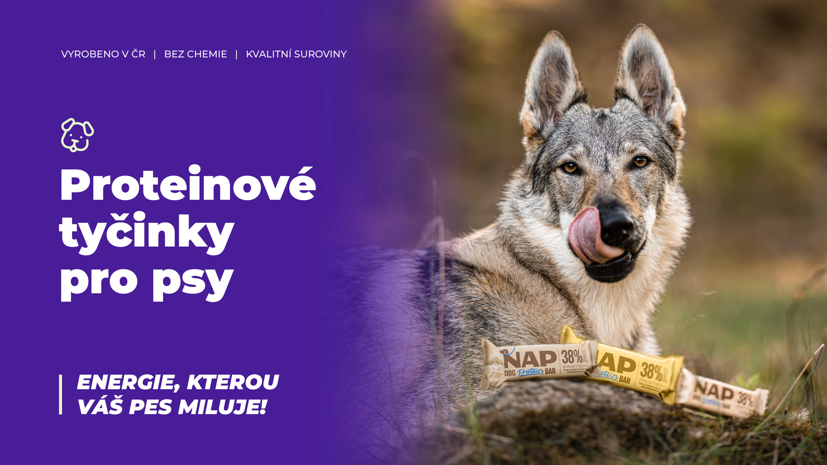 Proteinové tyčinky pro psy