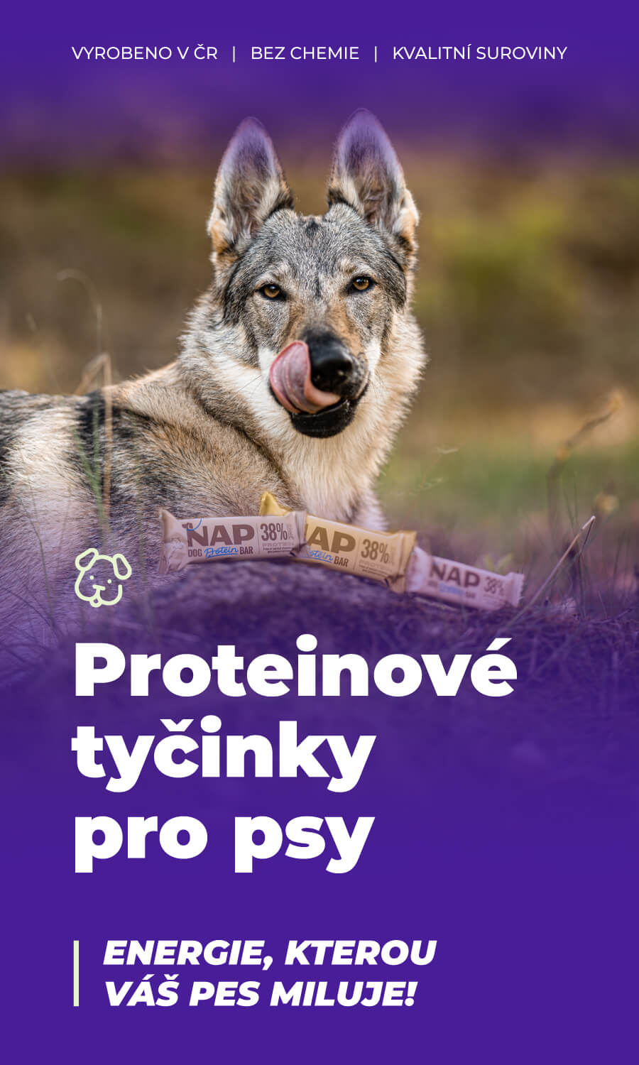 Proteinové tyčinky pro psy