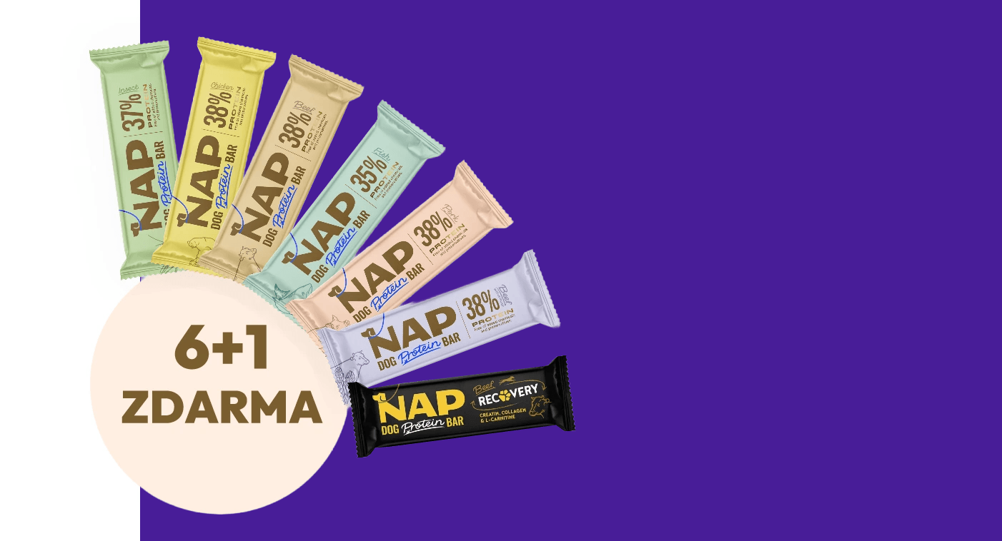 Nap 6+1 testovací set