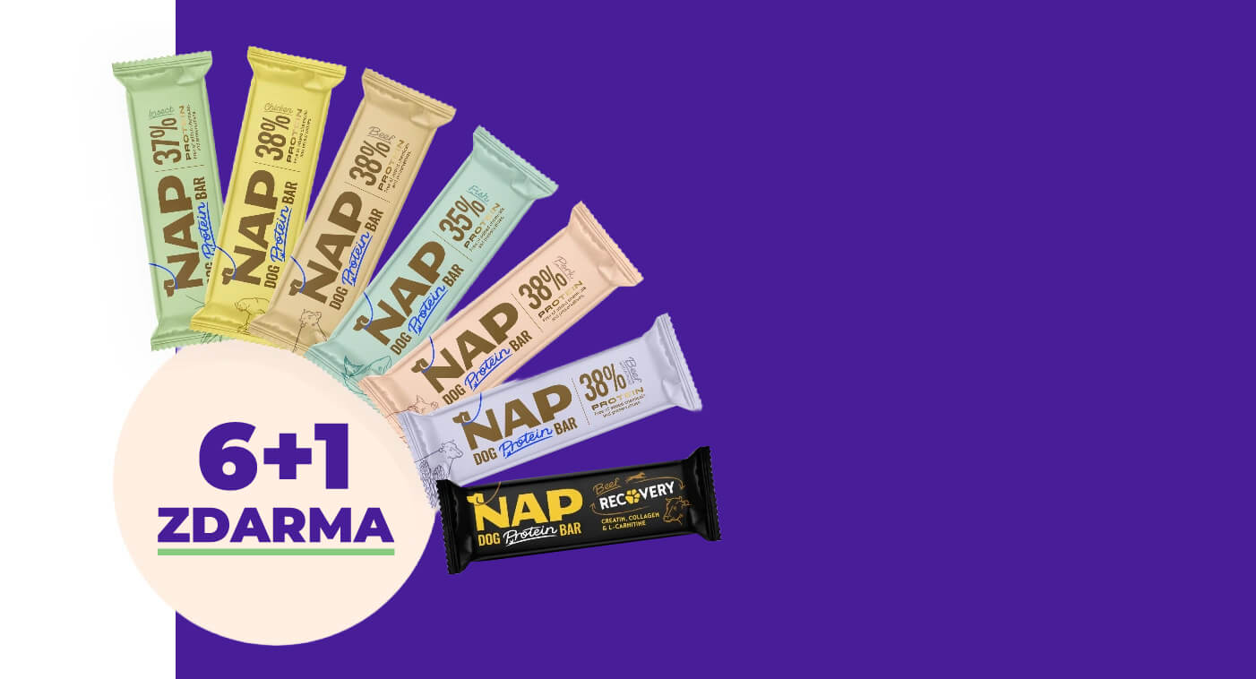Nap 6+1 testovací set