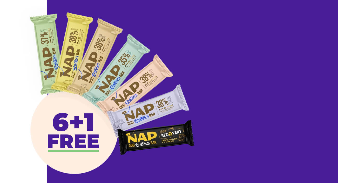 NAP 6+1 Taste set
