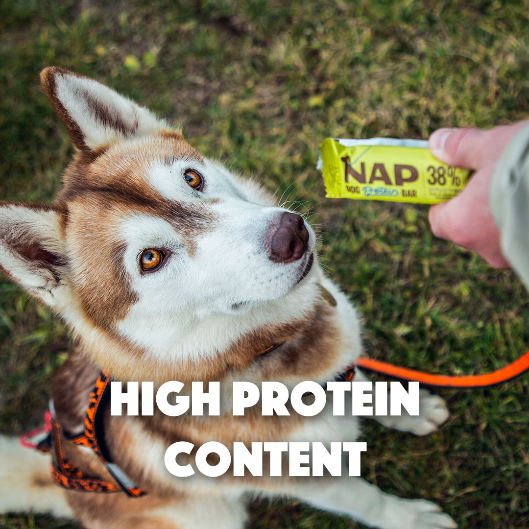 High protein content
