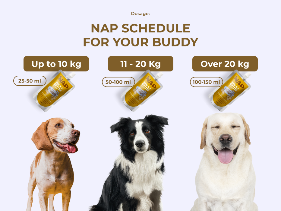 psiprotein_davkovani_boruvka_eng