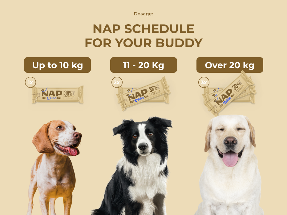 psiprotein_hovezi_slozeni_eng