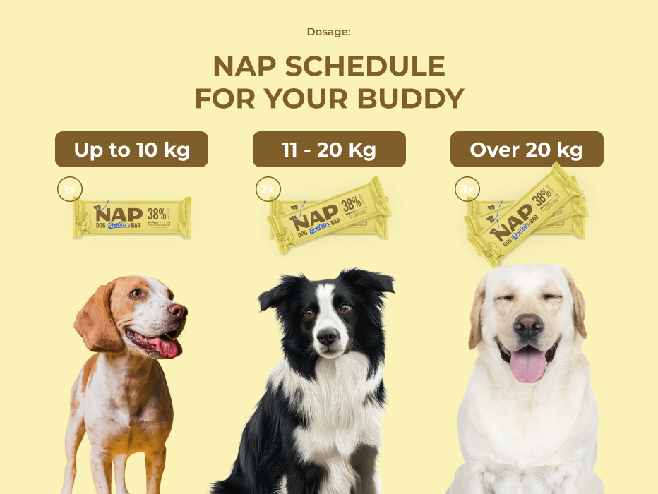 psiprotein_kureci_slozeni_eng