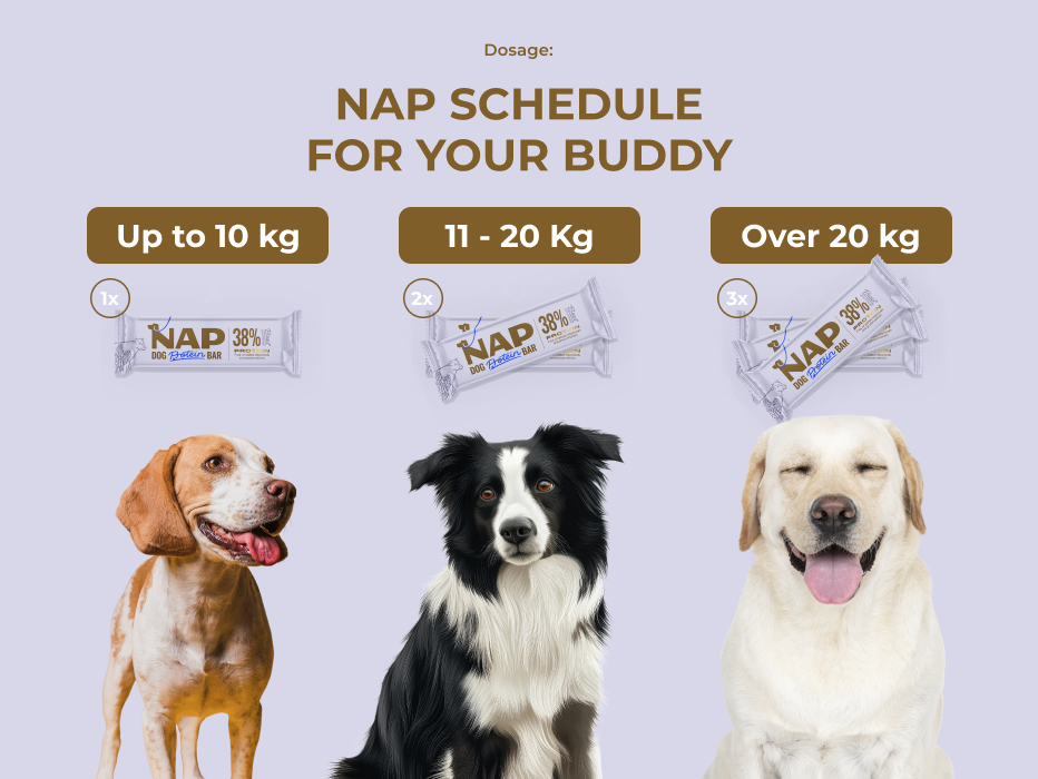 psiprotein_levandule_slozeni_eng