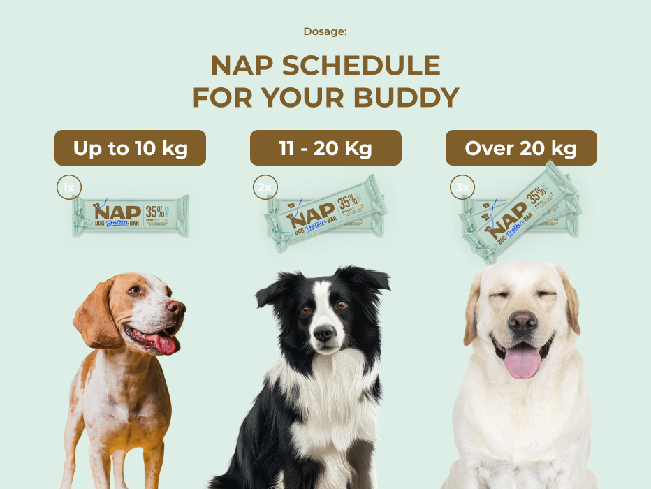 psiprotein_rybi_slozeni_eng