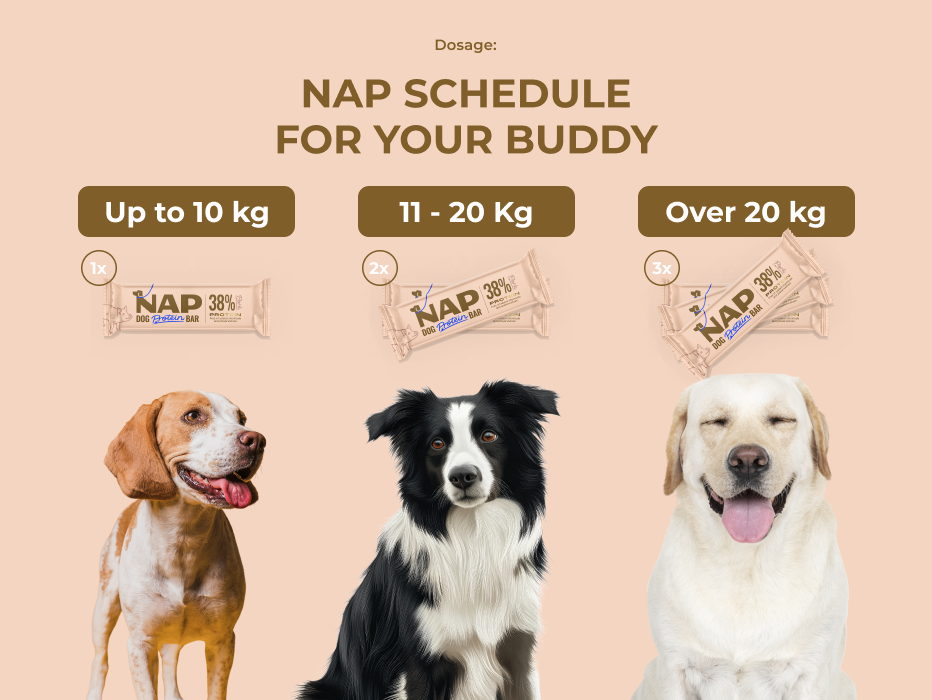 psiprotein_veprova_davkovani_eng