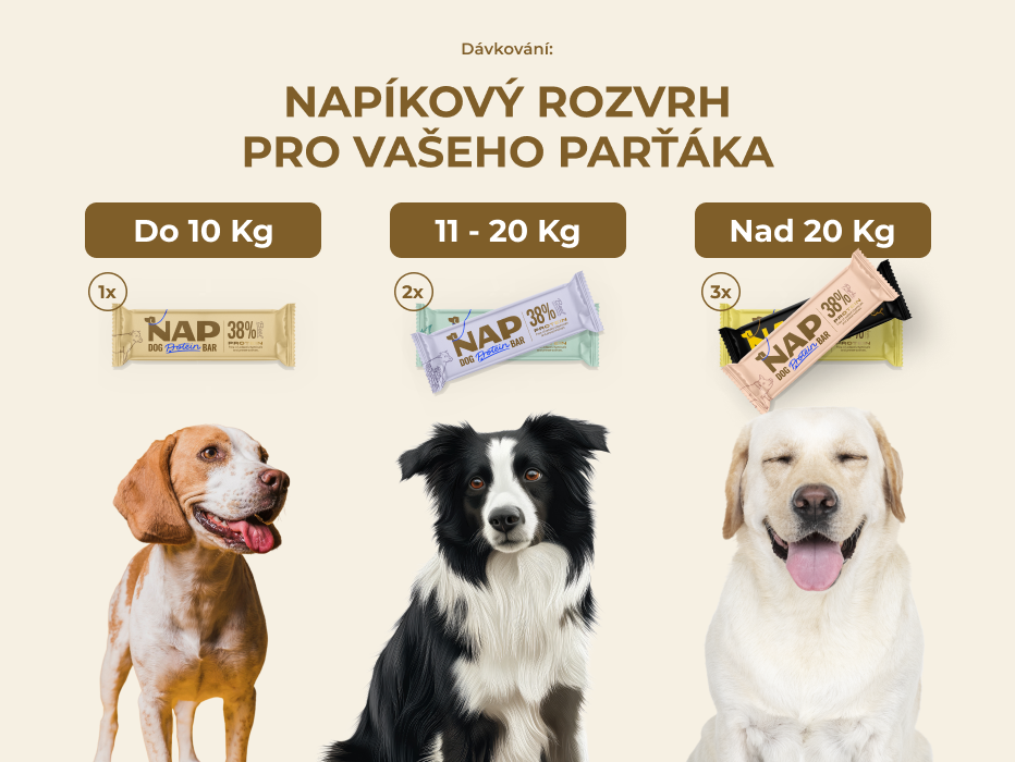 psiprotein_davkovani