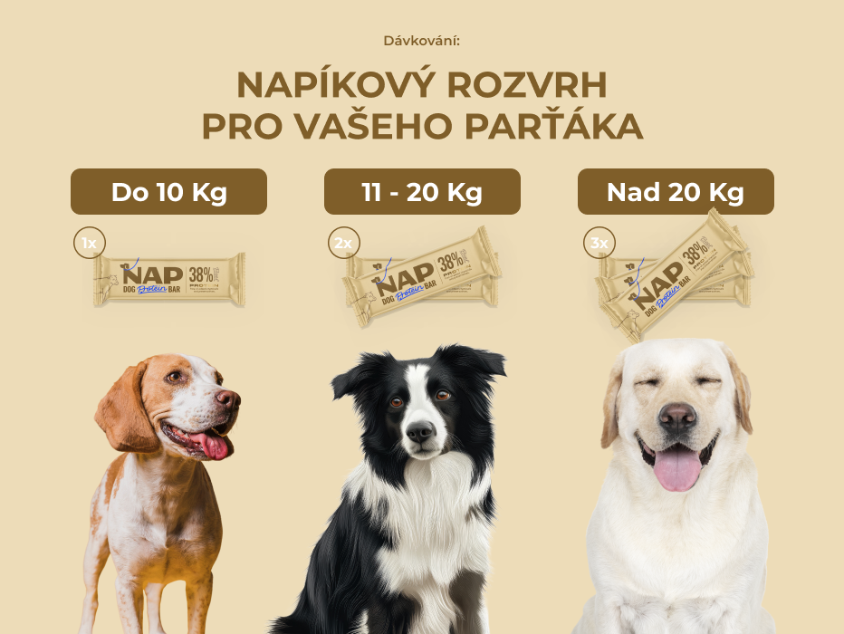 psiprotein_hovezi_slozeni