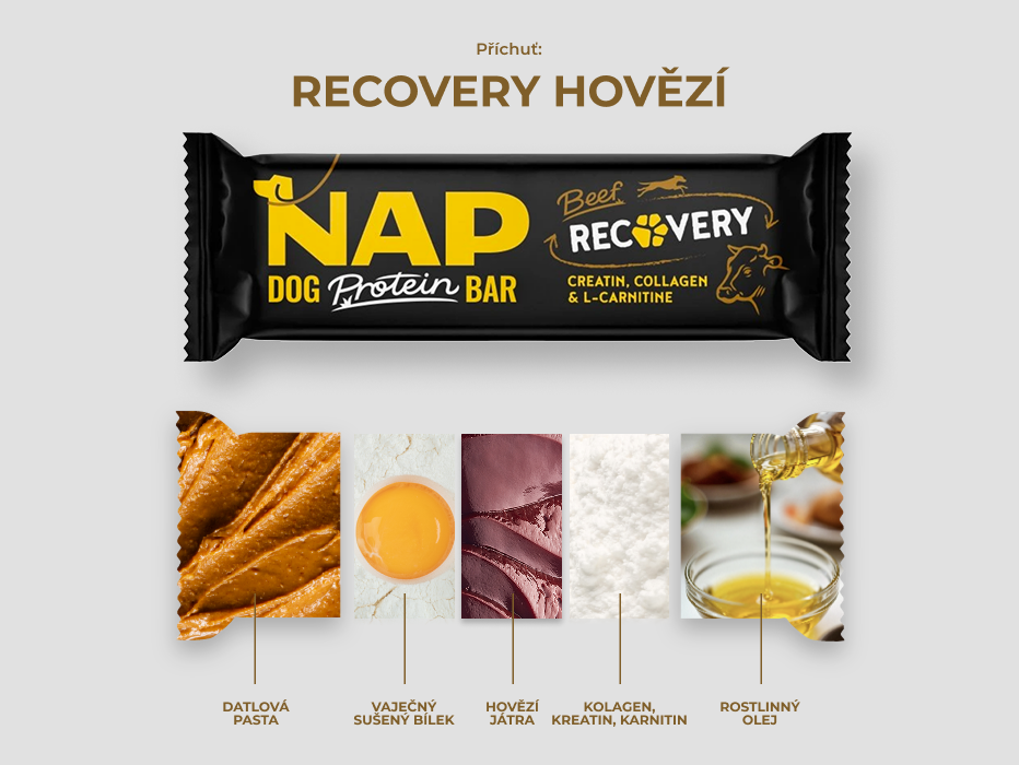 psiprotein_recovery_slozeni_1
