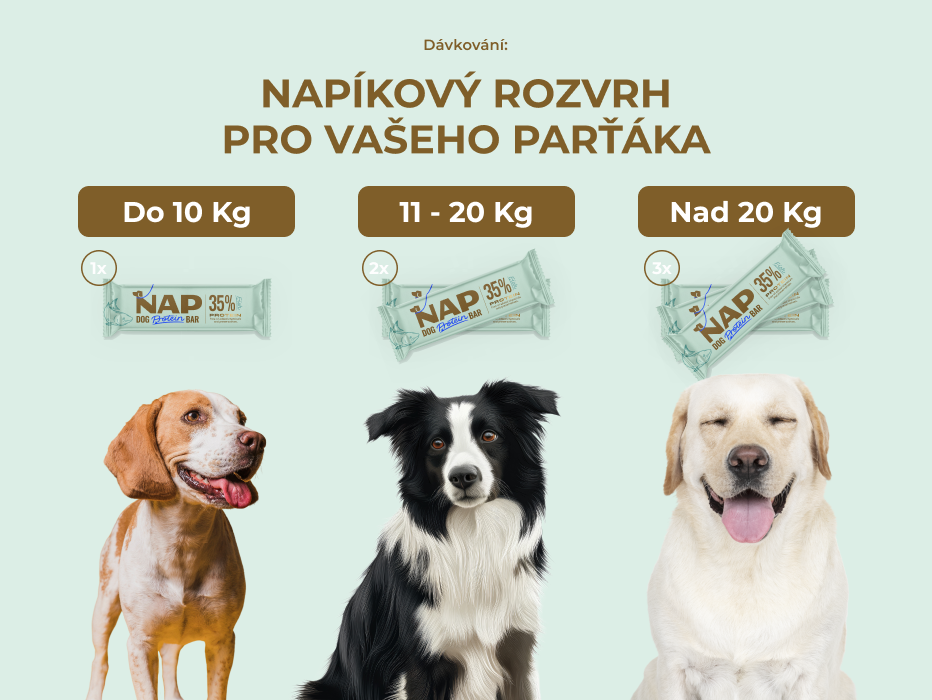 psiprotein_rybi_slozeni