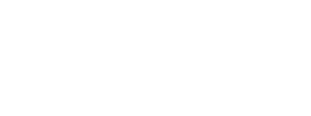 Proteinové tyčinky pro psy