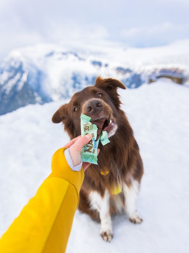 🐶 Síla a energie v jedné tyčince – NAP Dog Protein Bar! ✔️ 38 % bílkovin pro svaly a regeneraci ✔️ Bez chemie a...