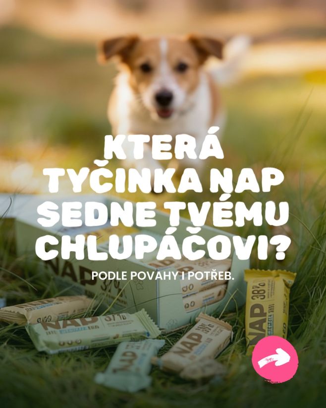 Která u vás doma vyhrává? ✅🐾 #pes #psiprotein #napfood #energie