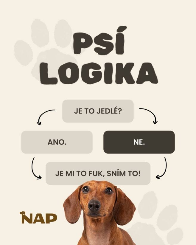 Máte to doma stejně? 😀🐾 #psiprotein #pes #energie #napfood