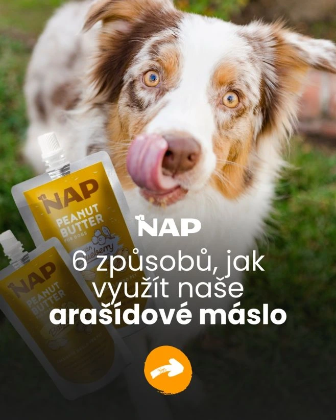 Arašídové máslo pro psy není jen „pamlsek“. 🥜🐶 Umí zabavit, uklidnit i pomoct v situacích, které jinak bývají stres. Mrkni...