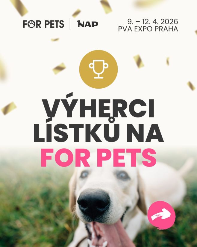 Gratulujeme výhercům! 🎉 Napište nám prosím do zpráv svůj e-mail, ať vám můžeme lístek co nejdřív poslat. 🐾 #psiprotein...