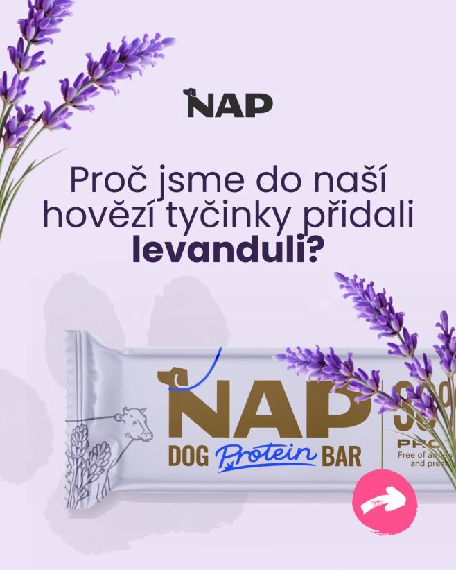 💜 Který chlupáč už zkusil naši hovězí tyčinku s levandulí? 💜 #psiprotein #pes #napfood #cesko
