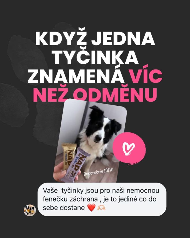 Takové zprávy nás vždycky potěší. ❤️🐶 Máme radost, že naše tyčinky pomáhají i ve chvílích, kdy to pejsci nemají úplně...